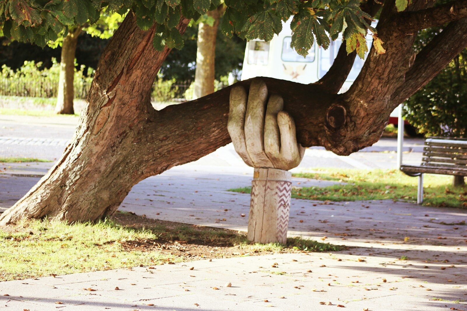 Photo by Neil Thomas A carved wooden hand supporting a heavy tree branch in a park